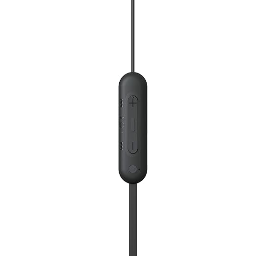 Sony WI-C100 Wireless Headphones